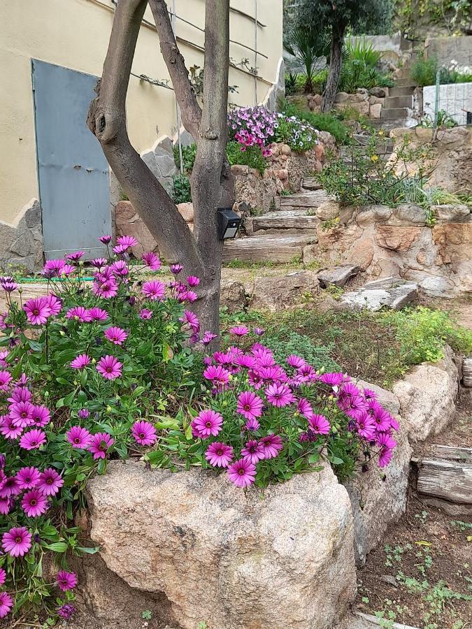 Invit Arti B&B Capoterra Ngoại thất bức ảnh