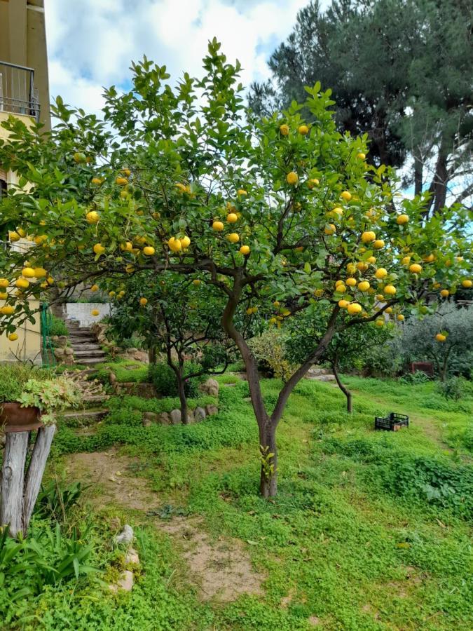Invit Arti B&B Capoterra Ngoại thất bức ảnh